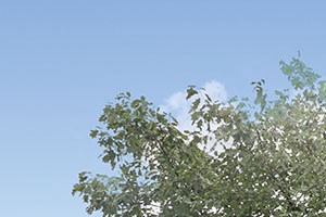 Apple Glen courtyard